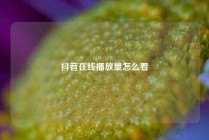 抖音在线播放量怎么看