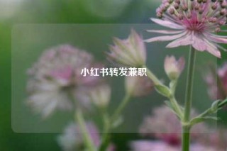 小红书转发兼职