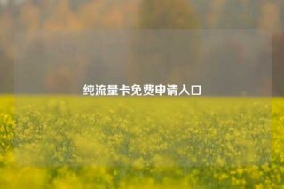 纯流量卡免费申请入口