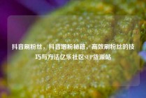 抖音刷粉丝，抖音增粉秘籍，高效刷粉丝的技巧与方法亿乐社区SUP货源站