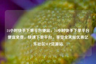 24小时快手下单平台便宜，24小时快手下单平台便宜免费，快速下单平台，享受全天候优惠亿乐社区SUP货源站
