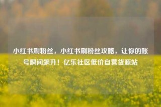 小红书刷粉丝，小红书刷粉丝攻略，让你的账号瞬间飙升！亿乐社区低价自营货源站
