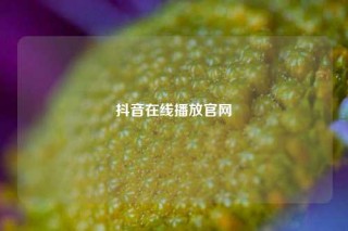 抖音在线播放官网