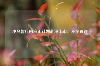 小马智行回应正计划赴港上市：不予置评