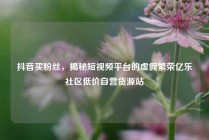 抖音买粉丝，揭秘短视频平台的虚假繁荣亿乐社区低价自营货源站