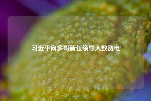 习近平向多哥新任领导人致贺电  第1张