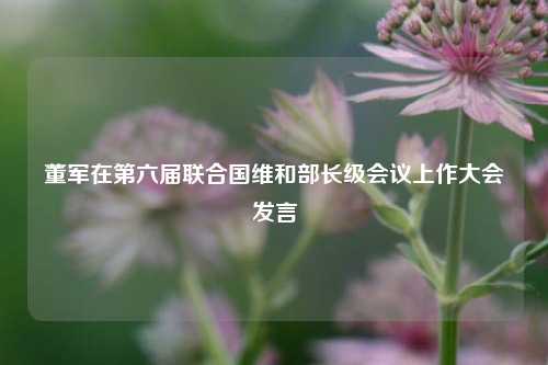董军在第六届联合国维和部长级会议上作大会发言  第1张