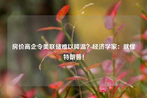 房价高企令美联储难以降温？经济学家：就怪特朗普！  第1张