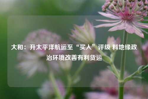 大和：升太平洋航运至“买入”评级 料地缘政治环境改善有利货运  第1张