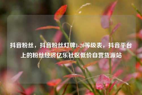 抖音粉丝	，抖音粉丝灯牌1-20等级表，抖音平台上的粉丝经济亿乐社区低价自营货源站  第1张