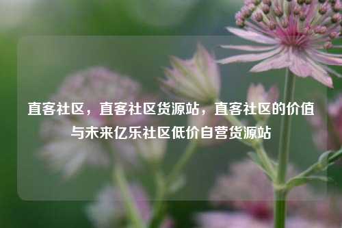 直客社区	，直客社区货源站，直客社区的价值与未来亿乐社区低价自营货源站  第1张