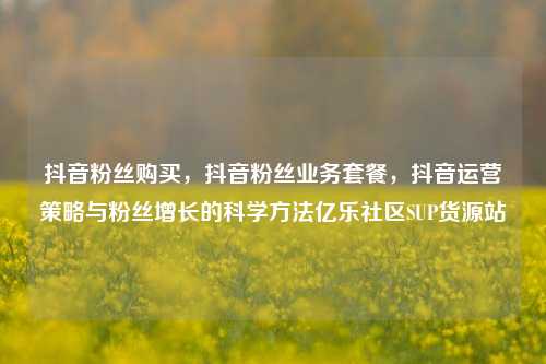 抖音粉丝购买，抖音粉丝业务套餐，抖音运营策略与粉丝增长的科学方法亿乐社区SUP货源站  第1张