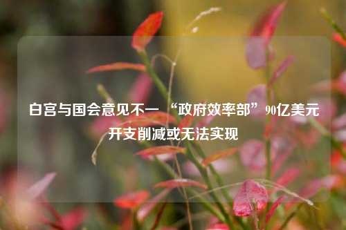白宫与国会意见不一 “政府效率部”90亿美元开支削减或无法实现  第1张