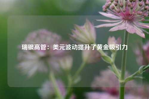 瑞银高管：美元波动提升了黄金吸引力  第1张