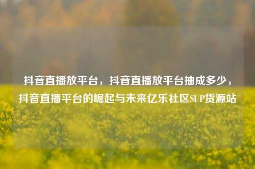 抖音直播放平台，抖音直播放平台抽成多少	，抖音直播平台的崛起与未来亿乐社区SUP货源站  第1张