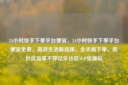 24小时快手下单平台便宜，24小时快手下单平台便宜免费，高效生活新选择	，全天候下单，低价优品享不停亿乐社区SUP货源站  第1张