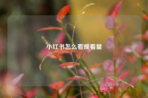 小红书怎么看观看量  第1张