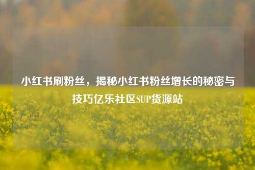 小红书刷粉丝	，揭秘小红书粉丝增长的秘密与技巧亿乐社区SUP货源站  第1张