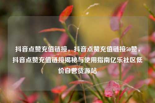 抖音点赞充值链接，抖音点赞充值链接50赞	，抖音点赞充值链接揭秘与使用指南亿乐社区低价自营货源站  第1张