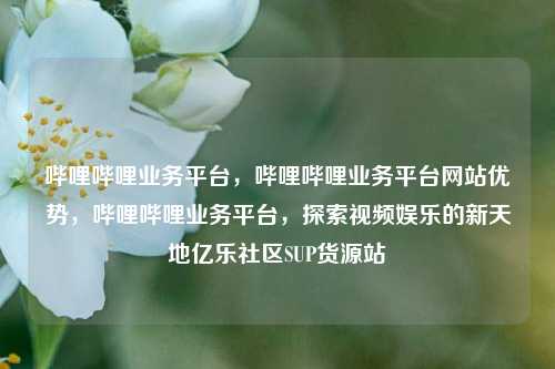 哔哩哔哩业务平台，哔哩哔哩业务平台网站优势，哔哩哔哩业务平台	，探索视频娱乐的新天地亿乐社区SUP货源站  第1张