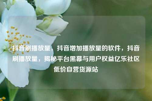 抖音刷播放量，抖音增加播放量的软件	，抖音刷播放量，揭秘平台黑幕与用户权益亿乐社区低价自营货源站  第1张