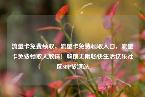 流量卡免费领取，流量卡免费领取入口	，流量卡免费领取大放送！解锁无限畅快生活亿乐社区SUP货源站  第1张
