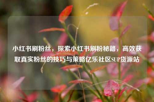 小红书刷粉丝，探索小红书刷粉秘籍	，高效获取真实粉丝的技巧与策略亿乐社区SUP货源站  第1张