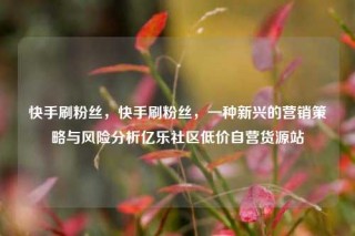 快手刷粉丝，快手刷粉丝，一种新兴的营销策略与风险分析亿乐社区低价自营货源站