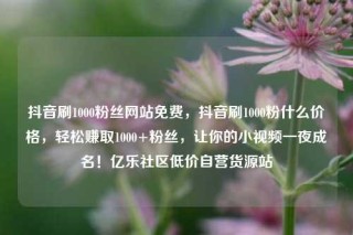 抖音刷1000粉丝网站免费，抖音刷1000粉什么价格，轻松赚取1000+粉丝，让你的小视频一夜成名！亿乐社区低价自营货源站