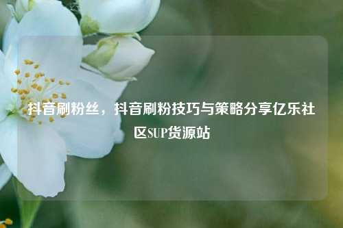 抖音刷粉丝，抖音刷粉技巧与策略分享亿乐社区SUP货源站  第1张