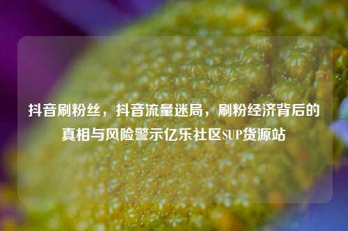 抖音刷粉丝，抖音流量迷局，刷粉经济背后的真相与风险警示亿乐社区SUP货源站  第1张